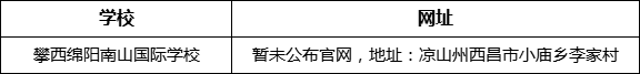 涼山州攀西綿陽南山國(guó)際學(xué)校網(wǎng)址是什么？