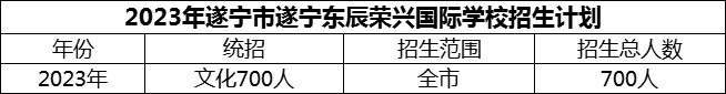 2024年遂寧市遂寧東辰榮興國際學(xué)校招生計(jì)劃是多少？