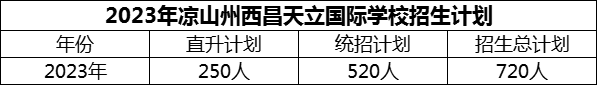 2024年涼山州西昌天立國際學校招生計劃是多少？