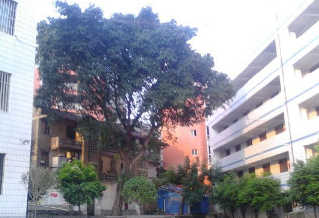 資中縣太平中學地理位置在哪里？
