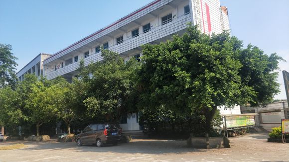 隆昌八中怎么樣？