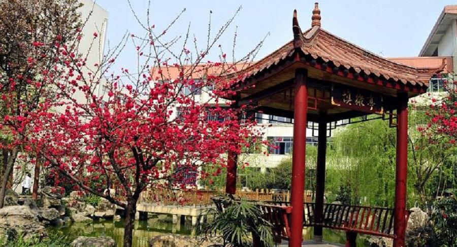 蜀城中學(xué)2020年中考錄取分數(shù)線是多少？