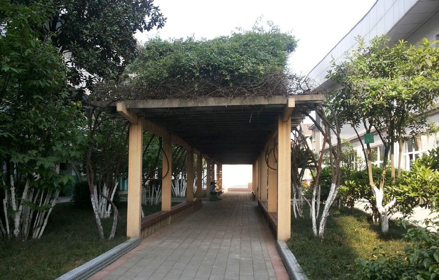 通錦中學(xué)環(huán)境怎么樣？