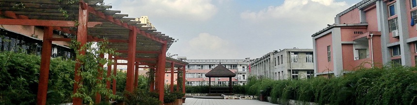 成都市通錦中學(xué)2019年中考分?jǐn)?shù)線是多少？
