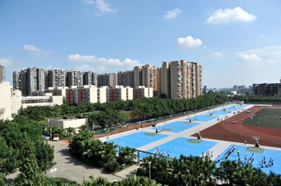 成都棠湖外國語學校2019年招生計劃出來了嗎？