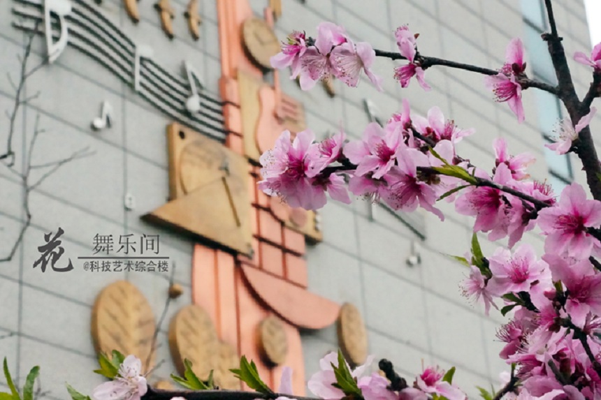 石室天府中學(xué)環(huán)境好不好、怎么樣？