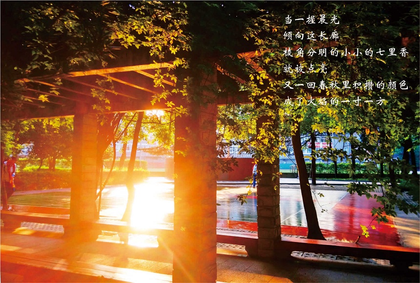 成都七中高新校區(qū)2019年中考分數(shù)線是多少？