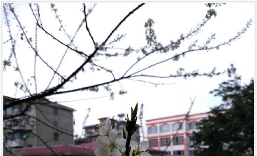 洪雅中學(xué)是一所公辦高中學(xué)嗎？