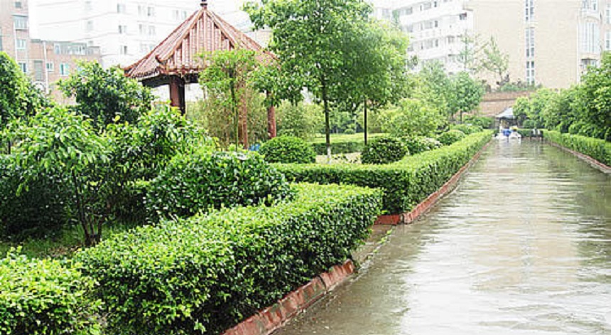 華興中學(xué)環(huán)境好不好？