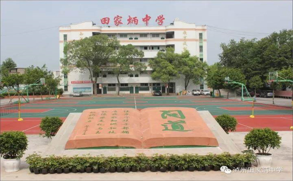 瀘洲市田家炳中學(xué)是公辦學(xué)校嗎？