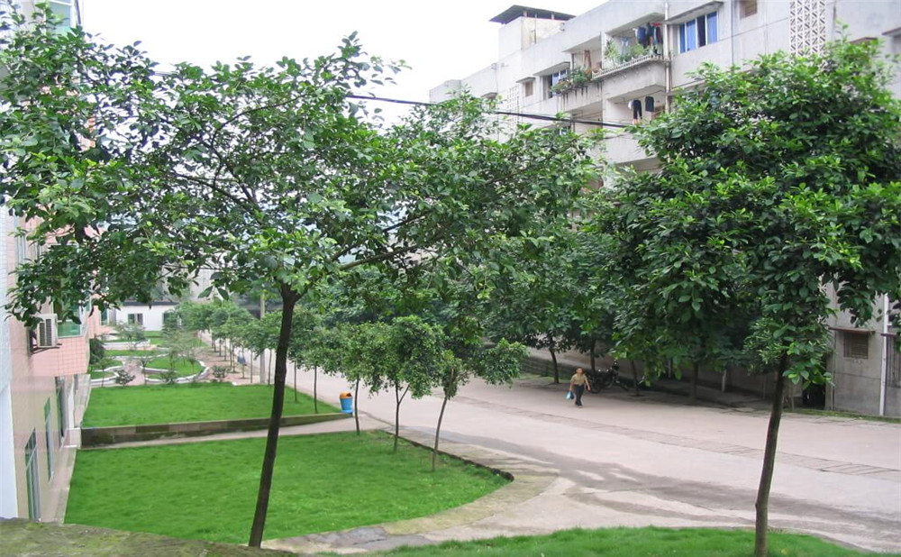 瀘州市納溪區(qū)護(hù)國(guó)中學(xué)地址在哪里？