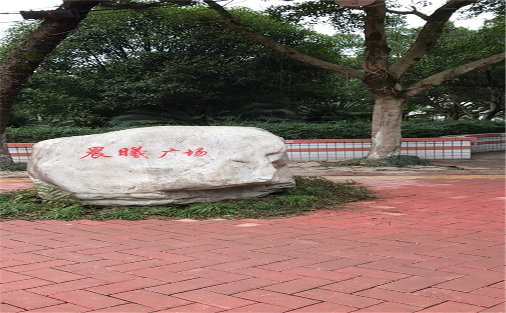 內(nèi)江十二中2020年升學(xué)率怎么樣？