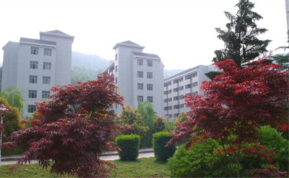 巴中中學(xué)學(xué)校詳細地址在什么地方？