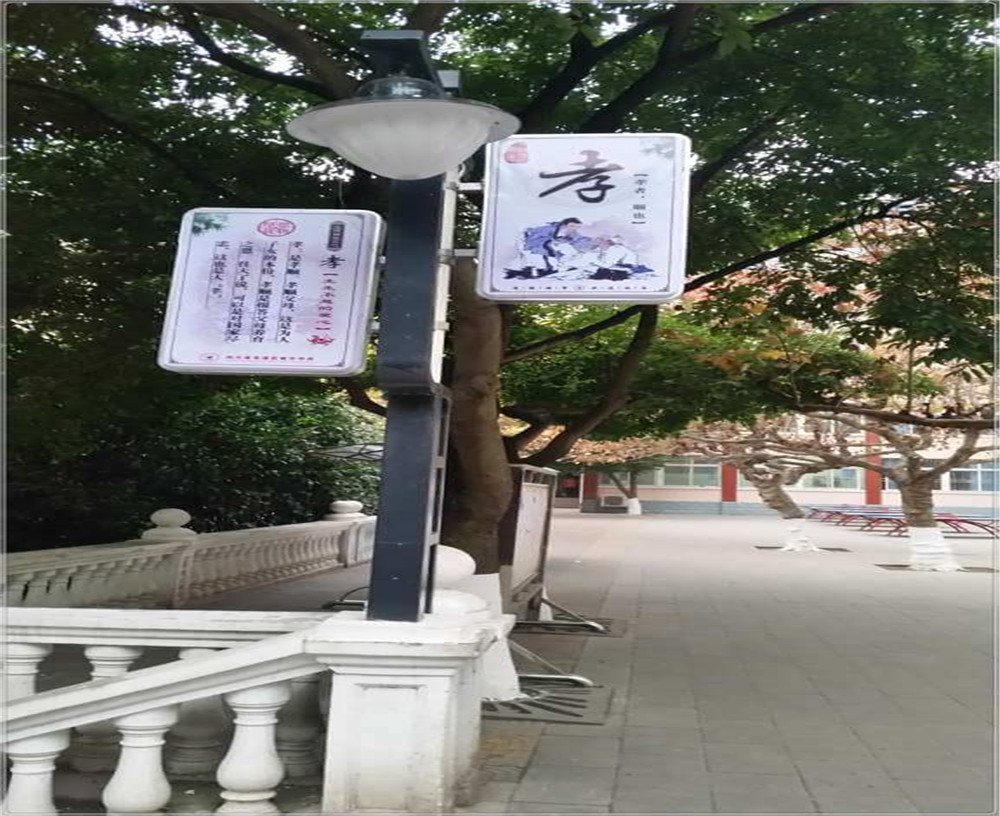 蒼溪實(shí)驗(yàn)中學(xué)2020年的招生簡(jiǎn)章發(fā)布了嗎？