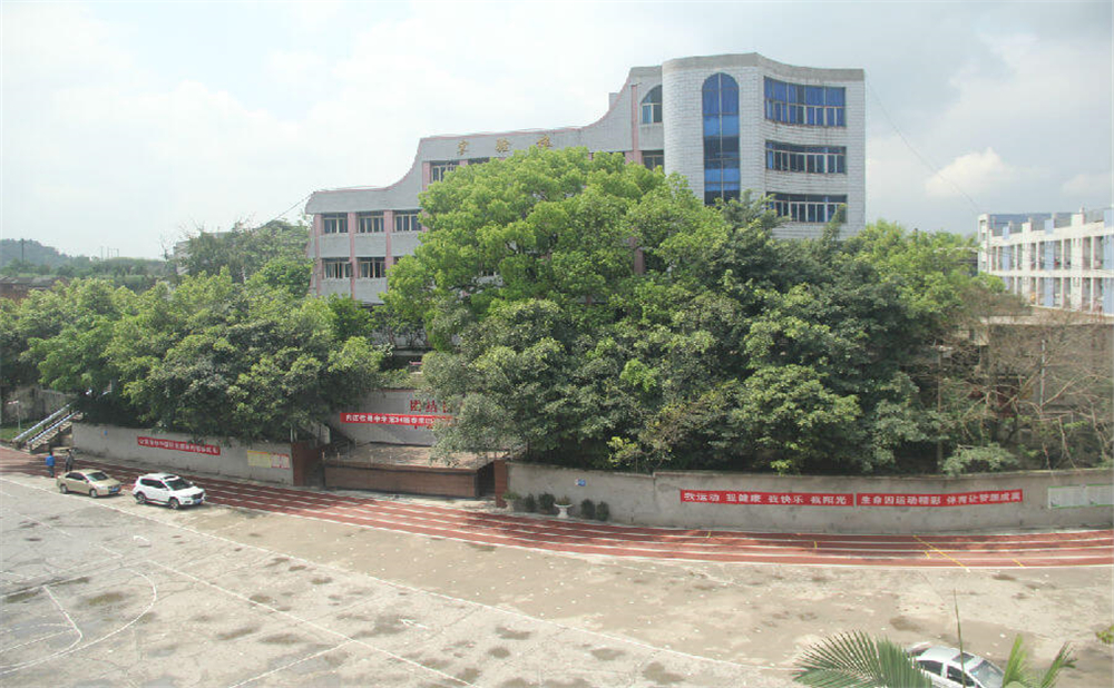 內(nèi)江鐵路中學學校環(huán)境怎么樣？
