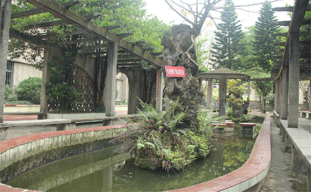 內(nèi)江鐵路中學學校環(huán)境怎么樣？