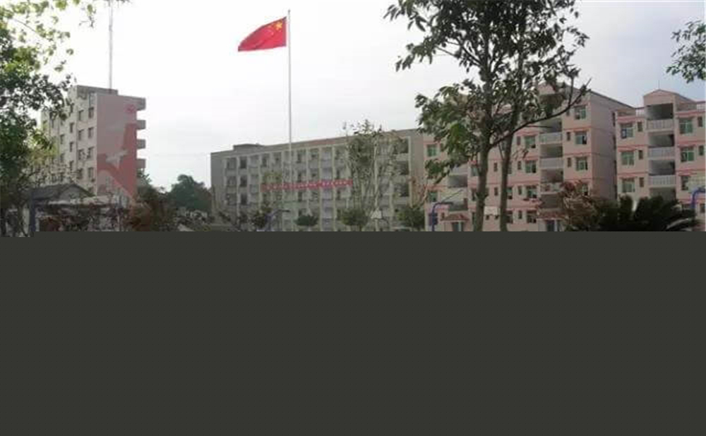 內(nèi)江市第十一中學學校環(huán)境怎么樣？
