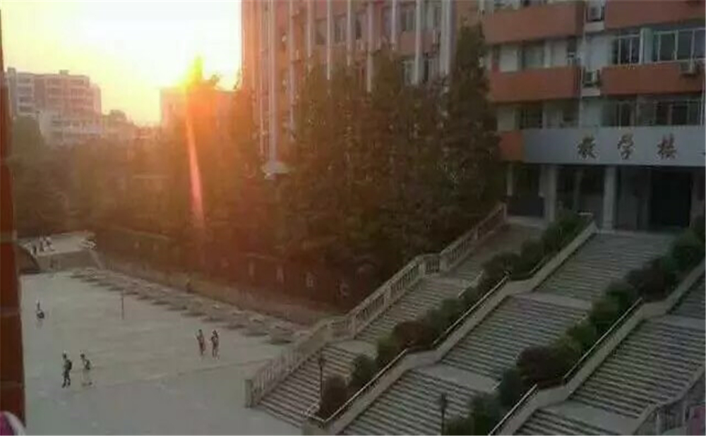 南充十一中學(xué)校招辦電話是多少？