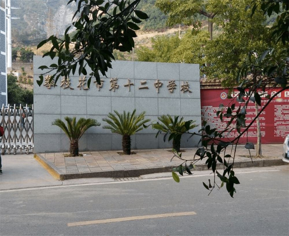 攀枝花市第十二中學校2020年招生簡章在哪兒看？