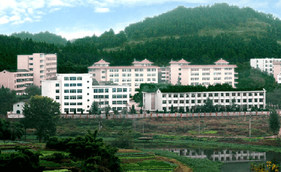 建興中學(xué)2020年學(xué)校學(xué)費多少錢一年？