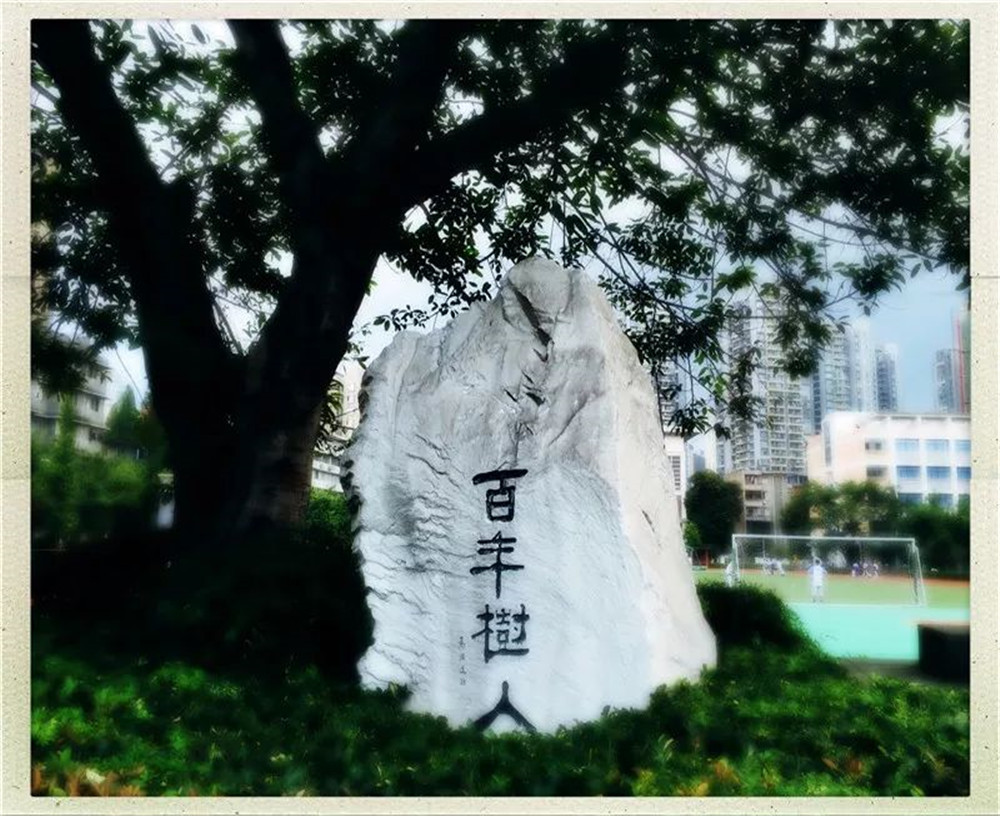 四川大學附屬中學2020年的錄取分數(shù)線是多少？