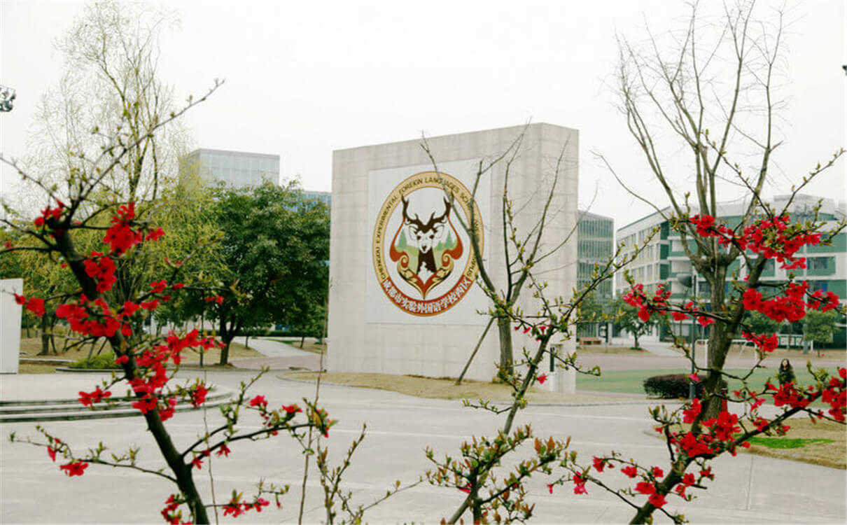 成都實(shí)驗(yàn)外國語學(xué)校（西區(qū)）育才的升學(xué)率是多少？