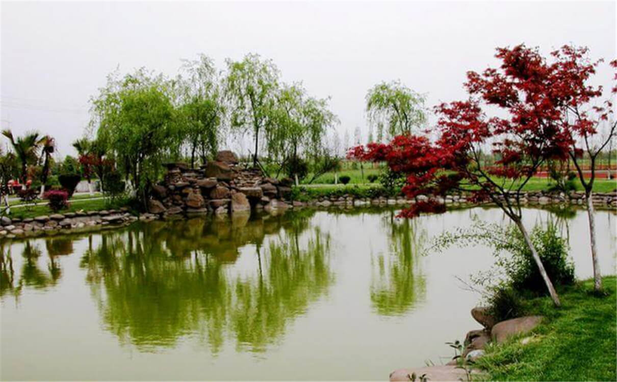 成都七中實(shí)驗(yàn)學(xué)校高中部的錄取分?jǐn)?shù)是多少？