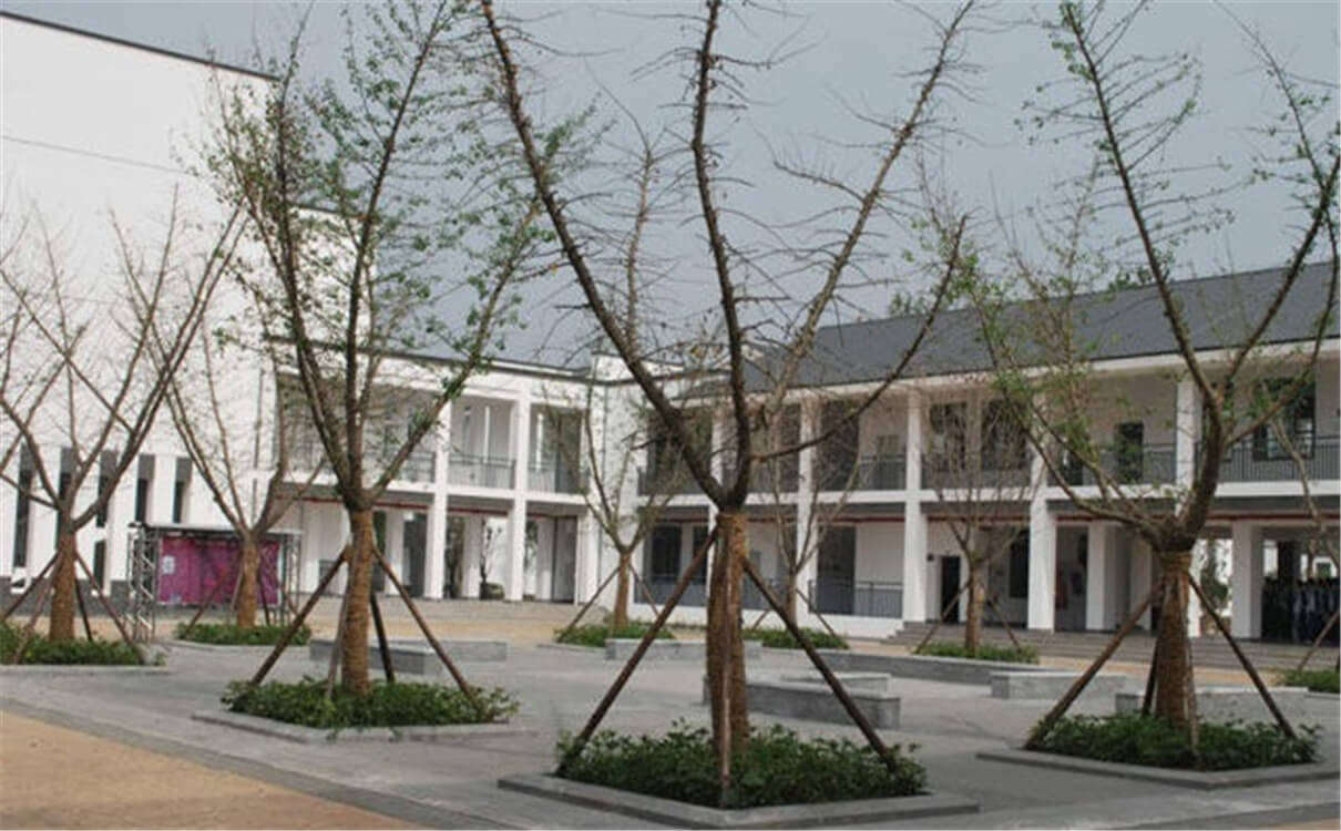 石室白馬中學(xué)的高中怎么樣？