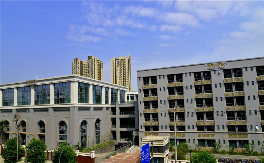 成都市第四十九中學(xué)去年的錄取分?jǐn)?shù)是多少？