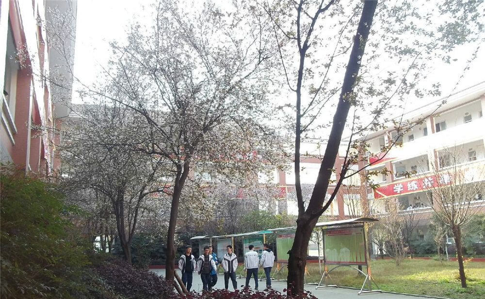 崇慶中學的去年錄取分數線是多少分？
