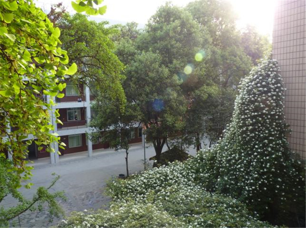 石室聯(lián)合中學(xué)蜀華分校的升學(xué)率是多少？