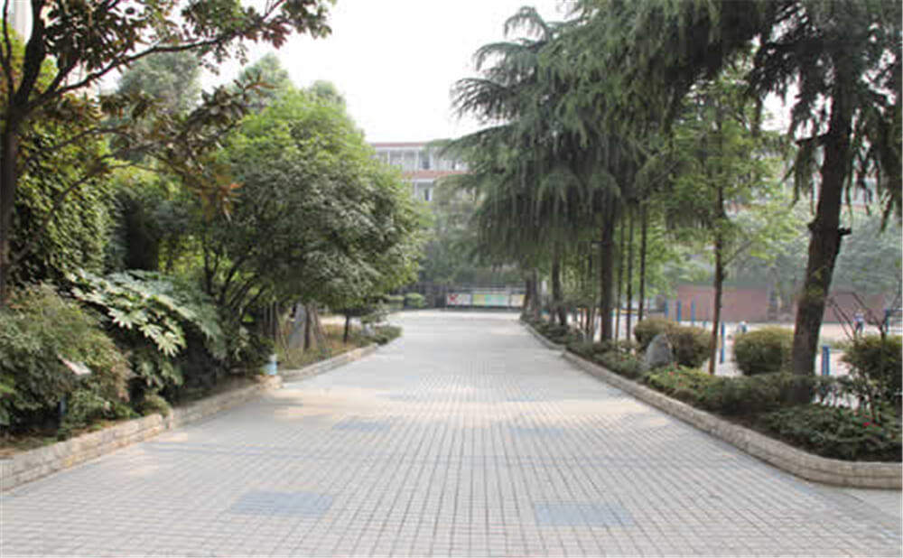 成都列五中學(xué)的學(xué)費(fèi)是多少錢？