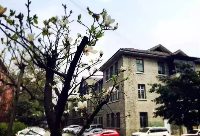 通錦中學的宿舍怎么樣？