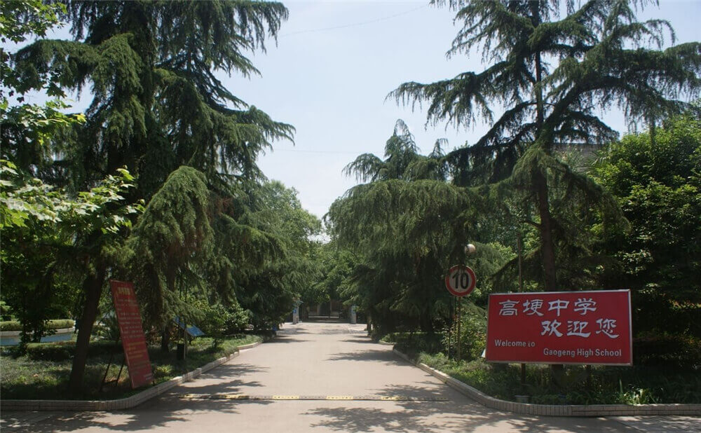 高埂中學(xué)的學(xué)費是多少錢？
