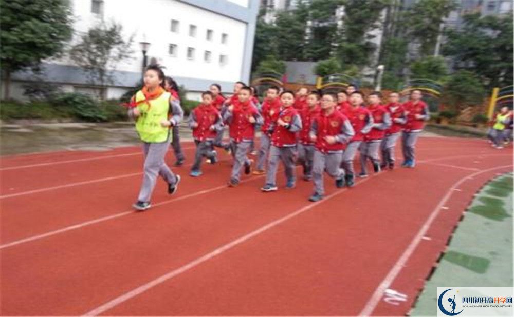2020成都市泡桐樹中學的升學率有多少？