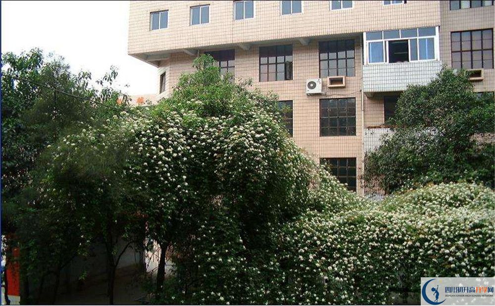 石室聯(lián)合中學(xué)蜀華分校一學(xué)期的學(xué)費(fèi)是多少？