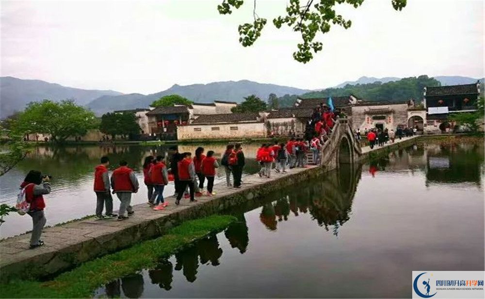 成都市泡桐樹中學(xué)的學(xué)費(fèi)一期是多少？