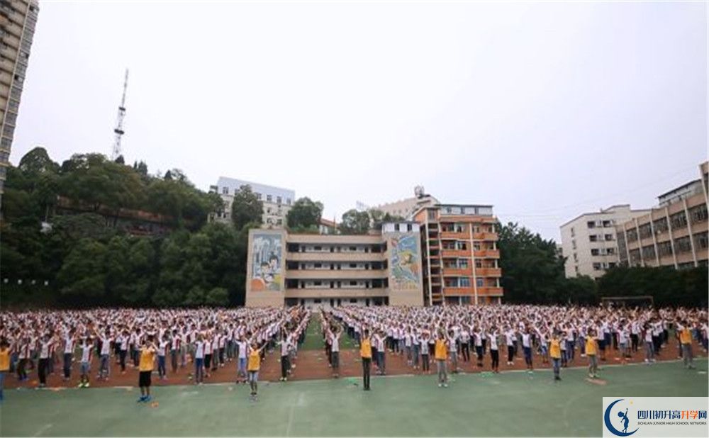 簡陽實驗中學的高一分班嗎？