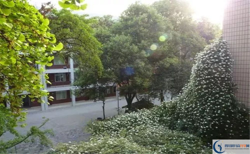 石室聯(lián)合中學蜀華分校2020年高一入學考試時間是多久？