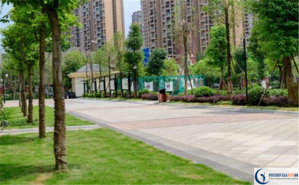 成都教科院附屬學校2020年清華北大錄取學生有多少？