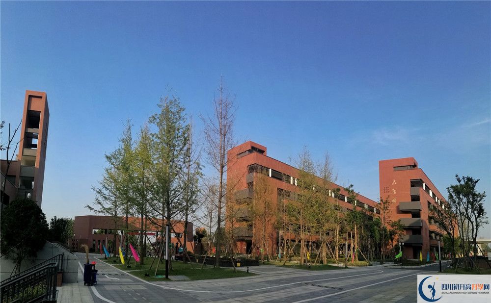 電子科技大學實驗中學高一多久放一次假？