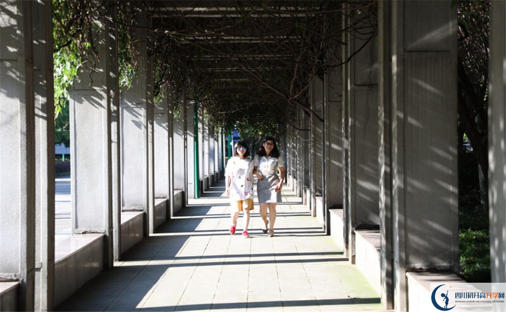 成都市龍泉中學(xué)2020年清華北大人數(shù)是多少？