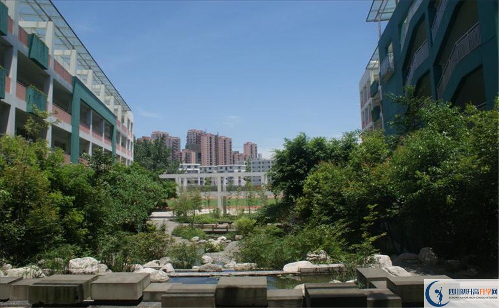 四川師范大學(xué)實驗外國語學(xué)校2020年保送清華北大的人數(shù)？