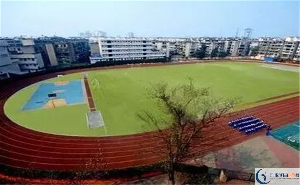 成都實(shí)外新都五龍山學(xué)校招生考試科目有哪些？