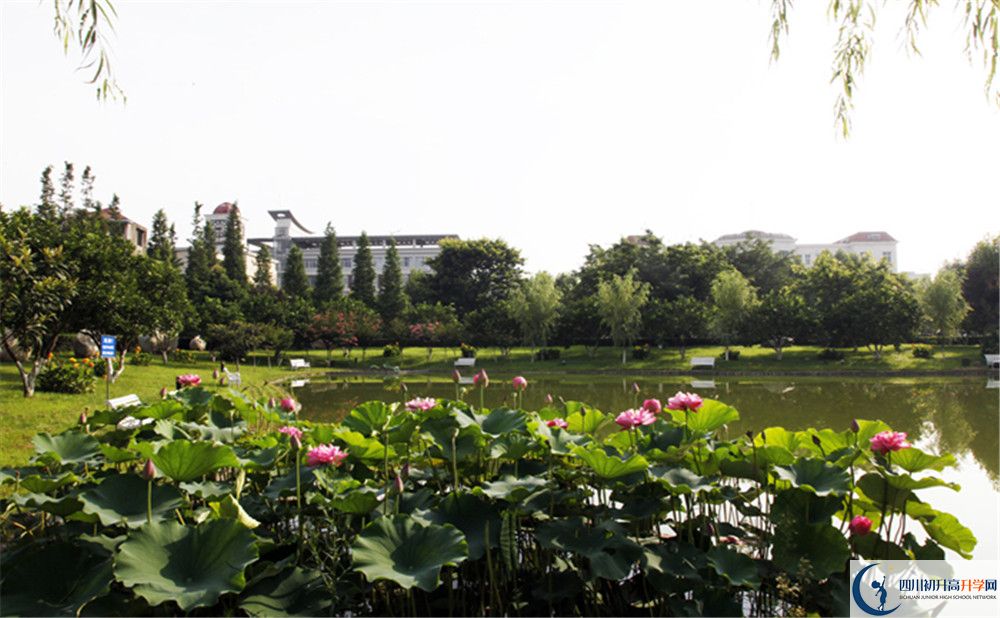 2020四川師范大學(xué)實(shí)驗(yàn)外國(guó)語(yǔ)學(xué)校高中分班考試是好久？