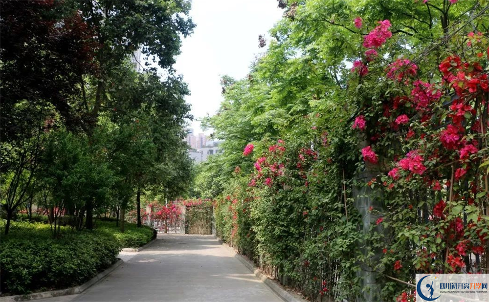 成都市第三中學(xué)平行班與實驗班差多少？