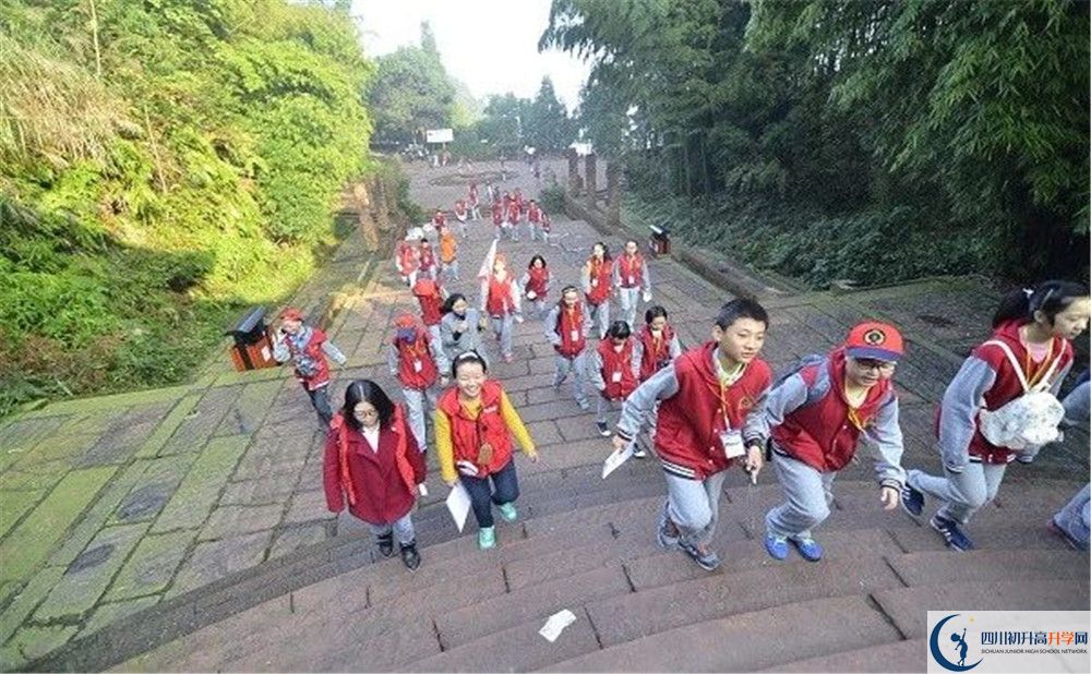 成都市泡桐樹中學(xué)和樹德中學(xué)誰好？