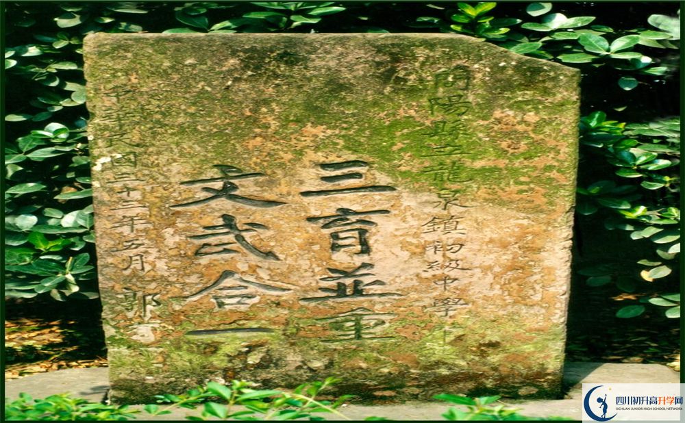 2020成都市龍泉中學(xué)期末試卷數(shù)學(xué)在哪看？