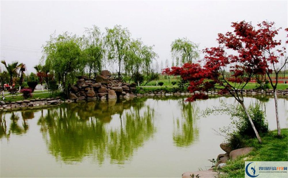 成都七中實(shí)驗(yàn)學(xué)校面向全國(guó)招生嗎？