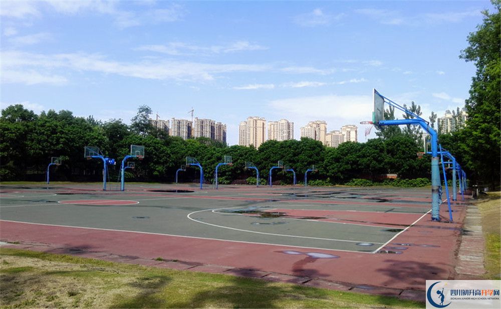 成都實(shí)驗(yàn)外國語學(xué)校（西區(qū)）補(bǔ)課嗎？